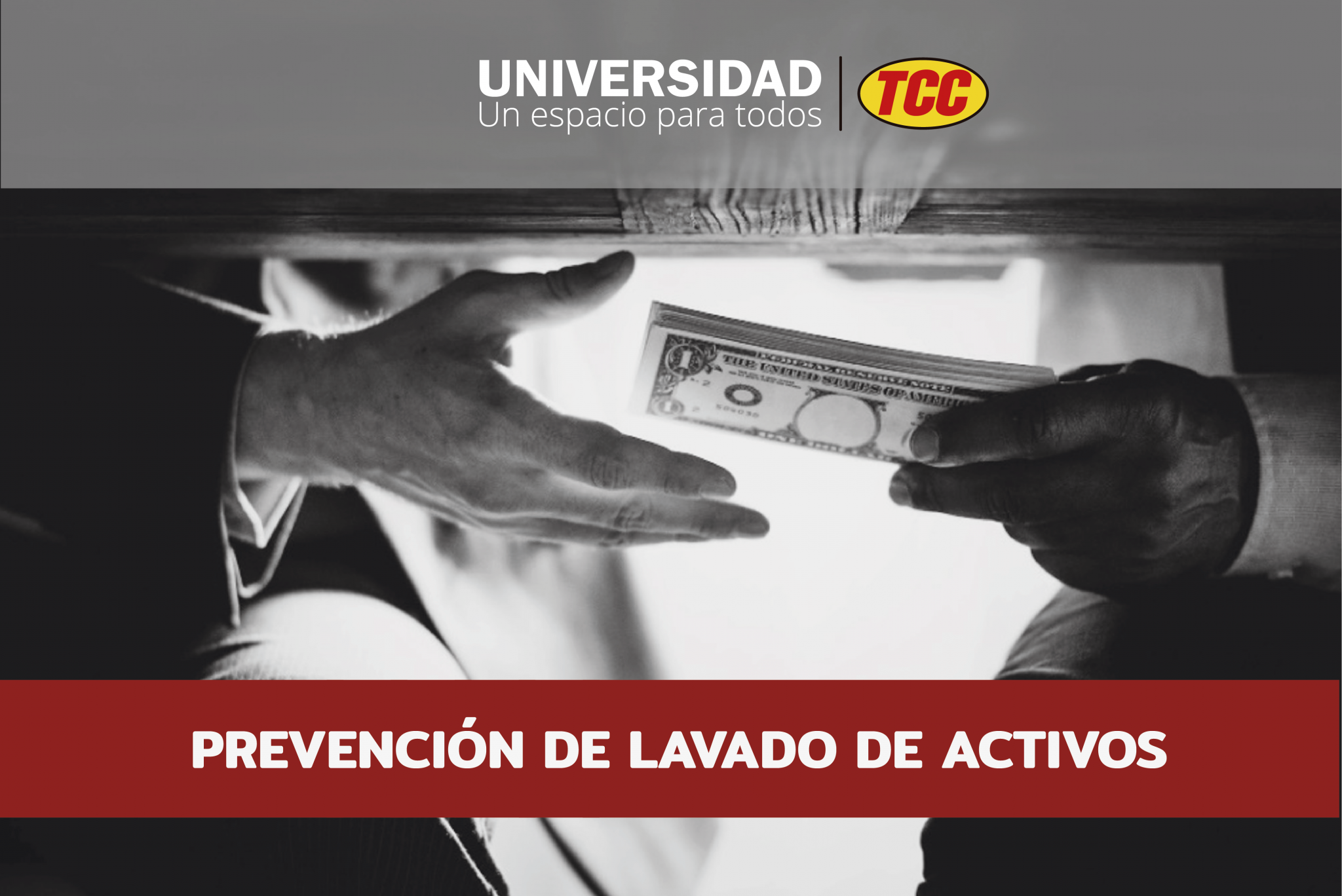 Prevención Lavado De Activos Aula Virtual Tcc